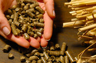 free Sraid Ruadh biomass boiler quotes